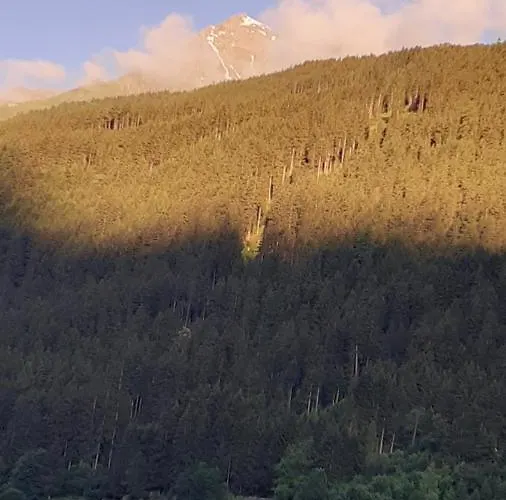 Saegehof Guest house Neustift im Stubaital